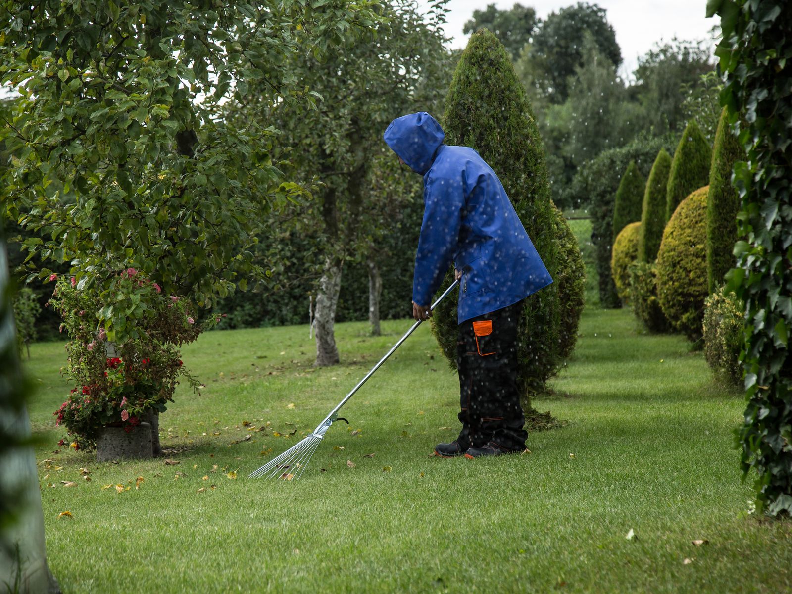 Personne utilisant un souffleur de feuilles dans un parc verdoyant